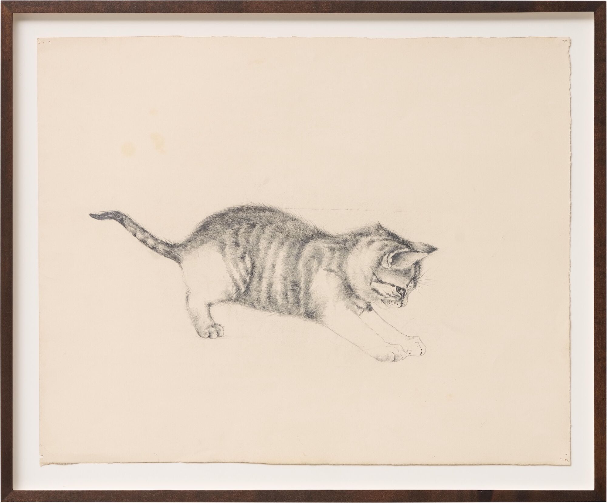 Bild „Jumping Cat“ (Unikt exemplar) av Etha Richter