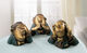 Sculptures "The Three Character Heads", bronze version by Loriot
