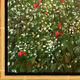 Bild "Champ de coquelicots", inramad av Jean-Claude Cubaynes