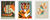 3 Bilder im Set