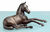 Horse sculpture Arabian foal "Young Dream", bronze