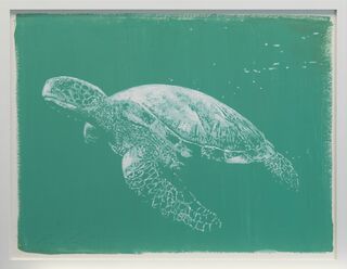 Bild "Serie Lichtblick | Meeresschildkröte" (2022) (Unikat)