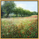 Bild "Champ de coquelicots", inramad av Jean-Claude Cubaynes