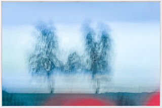 Tableau "Quand les racines apprennent à marcher" (2013), encadré