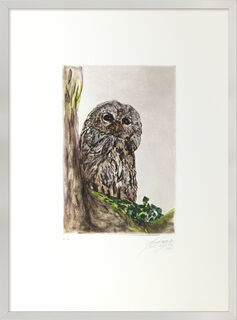Picture "Little Owl" (2021), framed