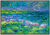 Quadro "Ninfee II", incorniciato
