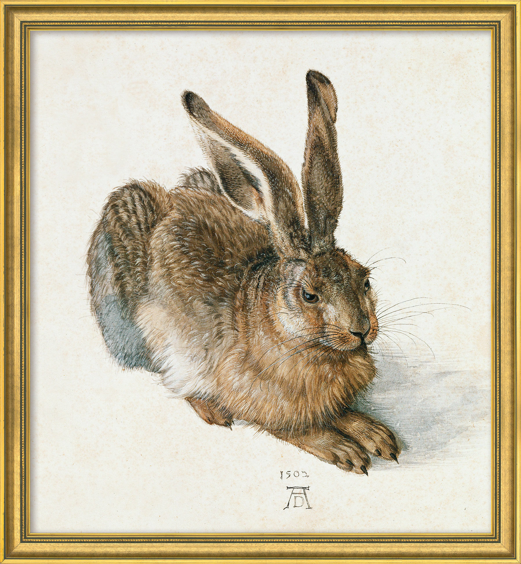 Picture "Young Hare" (1502), golden framed version by Albrecht Dürer
