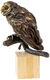Scultura "Gufo", versione in bronzo marrone di Kristin Kolb