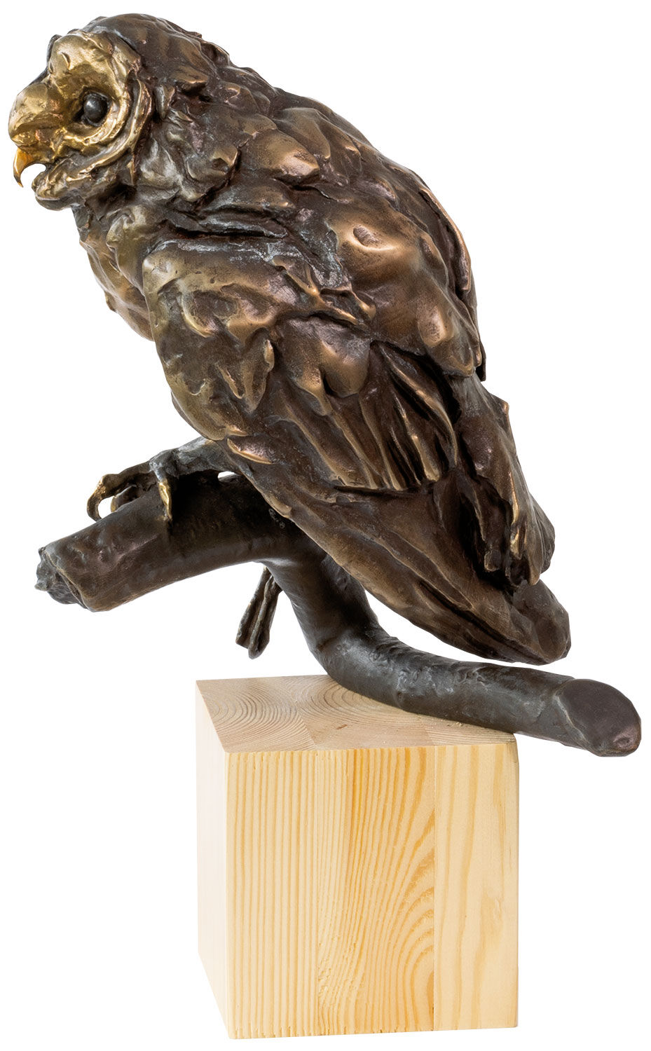 Scultura "Gufo", versione in bronzo marrone di Kristin Kolb