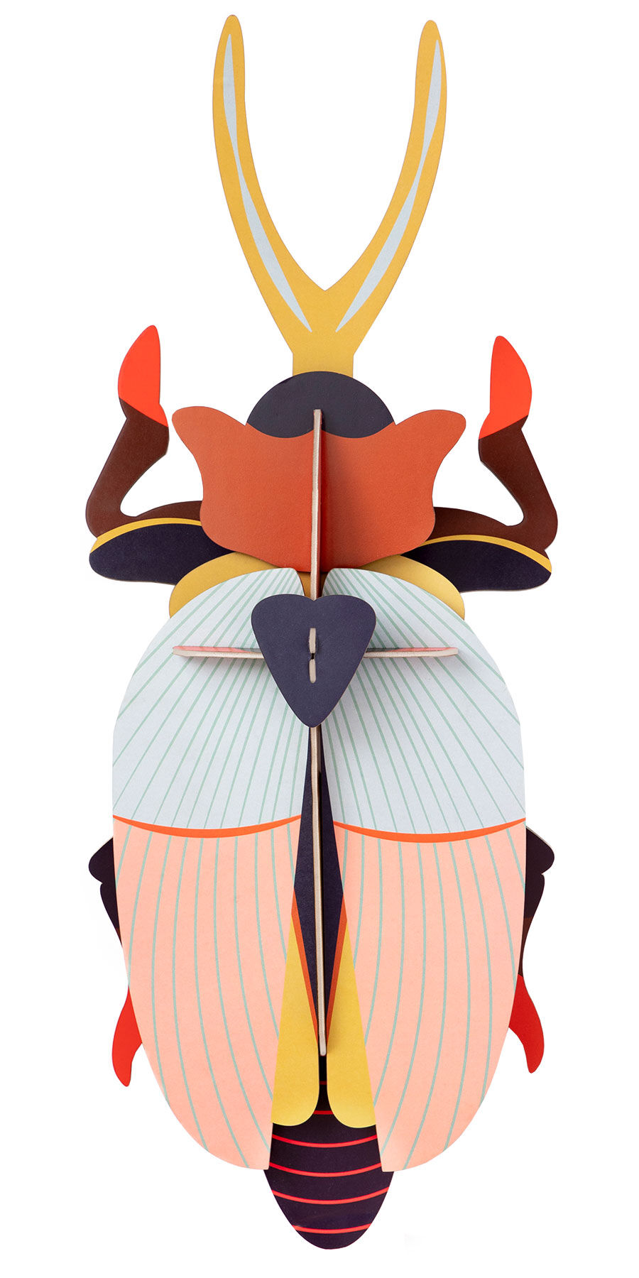 oggetto da parete 3D "Rhinoceros Beetle Deluxe" in cartone riciclato, fai da te di studio ROOF