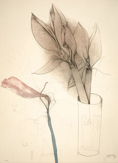 Picture "Amaryllis and Gaff" (1987), unframed