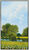 Schilderij "Bloemenweide II" (2022), ingelijst