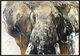 Picture "Elephant_163" (2025) (Unique piece) by Ralf Koenemann