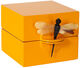 Rakev "Dragon Fly", verze mango