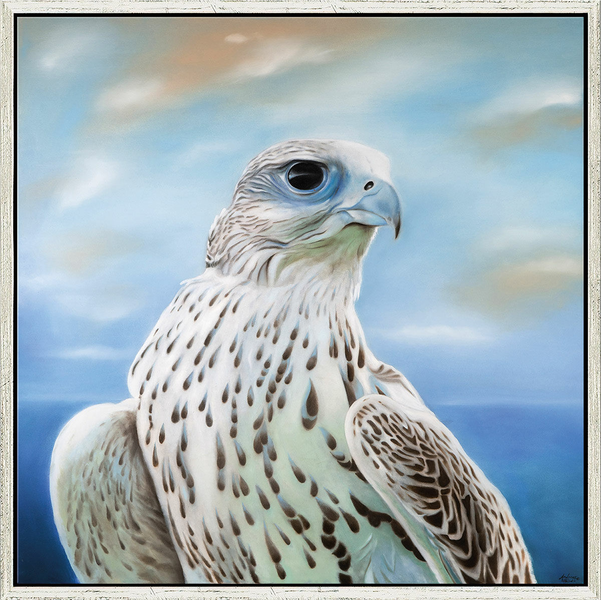 Picture "The Falcon", framed by Andreas Weische