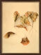 Tableau "Autunno II (Feuilles d'automne II)" (1987), encadré de Bruno Bruni
