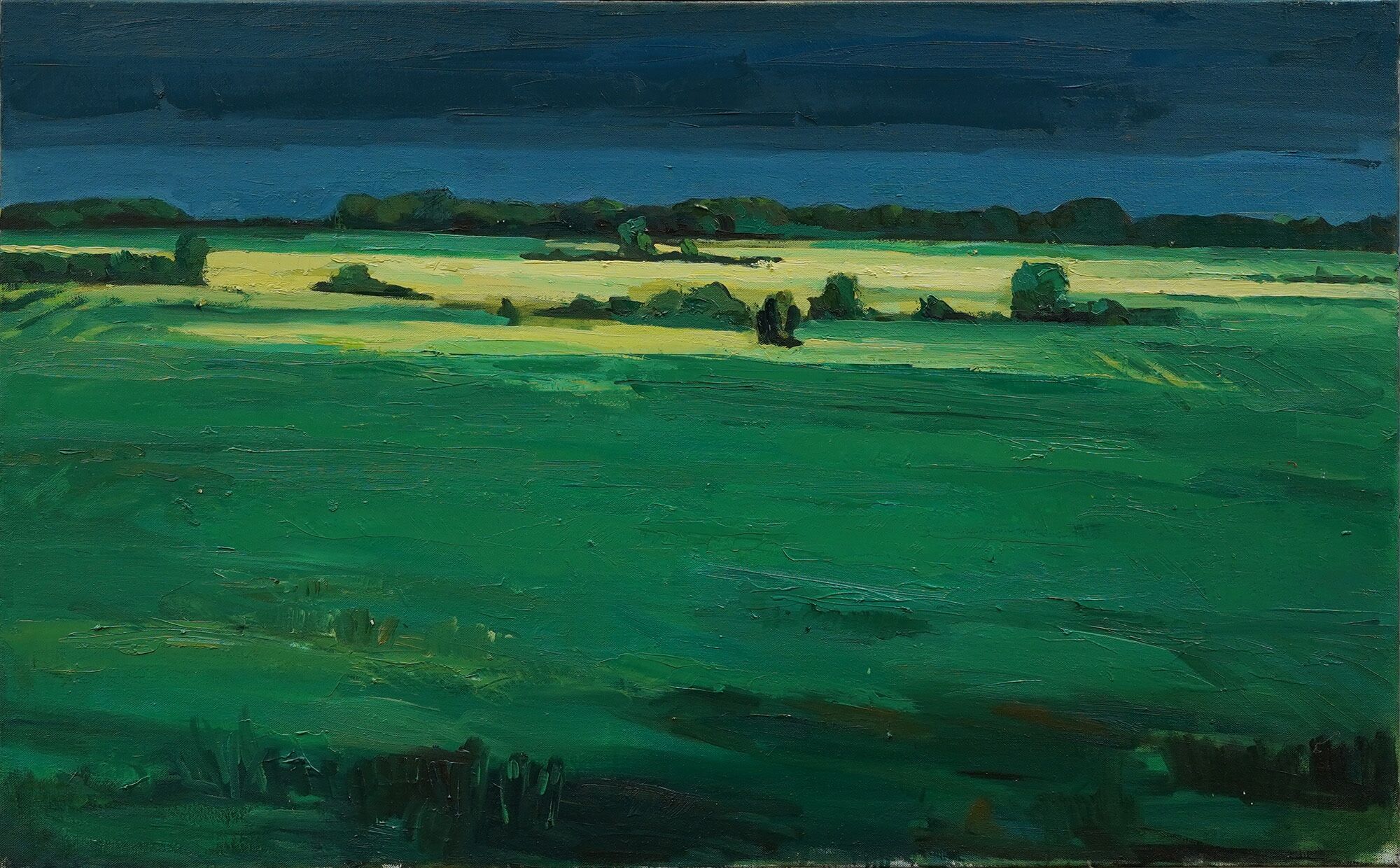 Quadro "Giorno d'estate, prato in Havelland" (2011) (pezzo unico) di Lutz Friedel