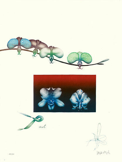 Bild "Orchidee II", WVZ-Nr. 725, ungerahmt von Paul Wunderlich