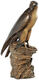 Skulptur "Turmfalke", Bronze von Erwin A. Schinzel