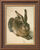 Picture "Young Brown Hare" (1502), framed
