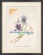 Billedet "Iris germanica cum ocellis italicis" (1972) af Salvador Dalí