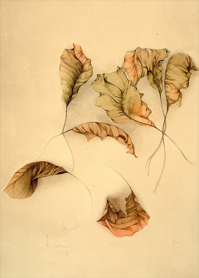 Billede "Autunno II (Autumn Leaves II)" (1987), uindrammet von Bruno Bruni