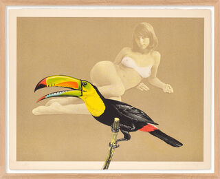 Tableau "Toucan Better Than One" (1969) von Mel Ramos