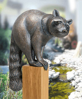 Gartenskulptur "Waschbär, schauend" (Version mit Sockel), Bronze